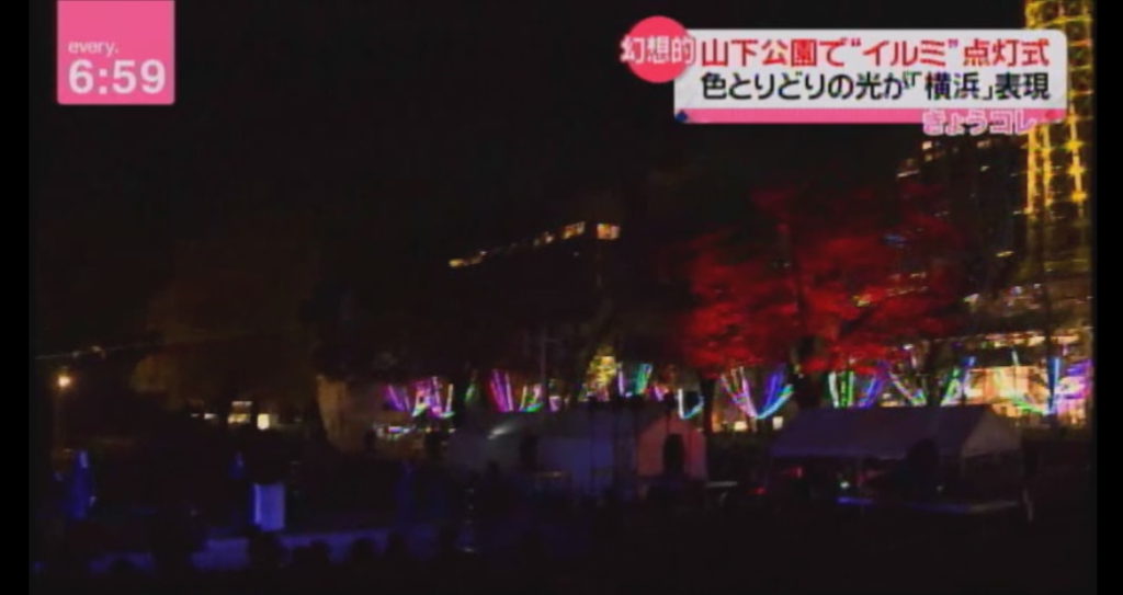 NTV（日本テレビ） News Every