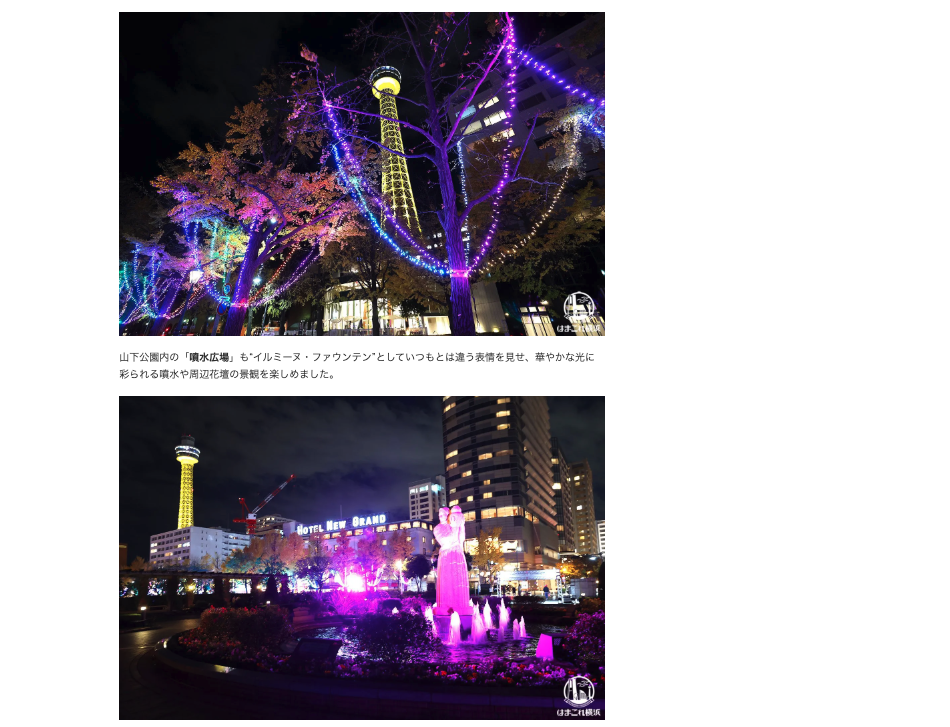 はまこれ横浜                                  Hamakore Yokohama 山下公園の2023年イルミネーション「イルミーヌ・ヨコハマ」幻想的に光り輝く圧巻の演出体験！