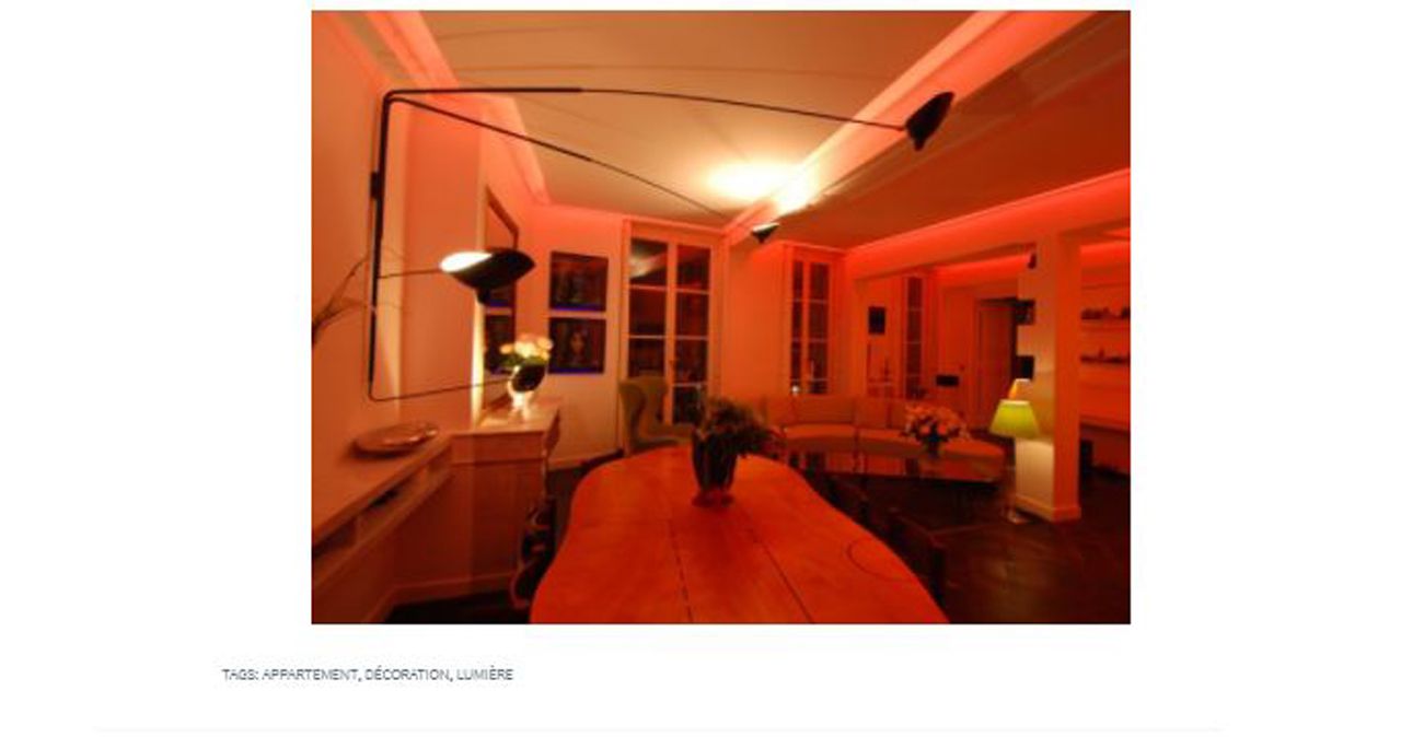 Votre habitat Un appartement parisien mis en lumière par deux artistes