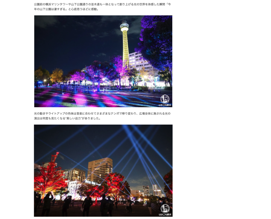 はまこれ横浜                                  Hamakore Yokohama 山下公園の2023年イルミネーション「イルミーヌ・ヨコハマ」幻想的に光り輝く圧巻の演出体験！